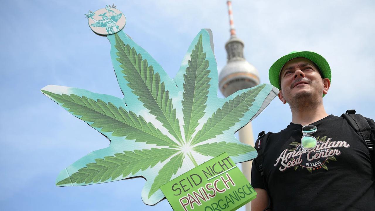 一部《大麻法》“吵翻”德国朝野，朔尔茨挖的“坑”，默茨根本填不上

谁能想到，一