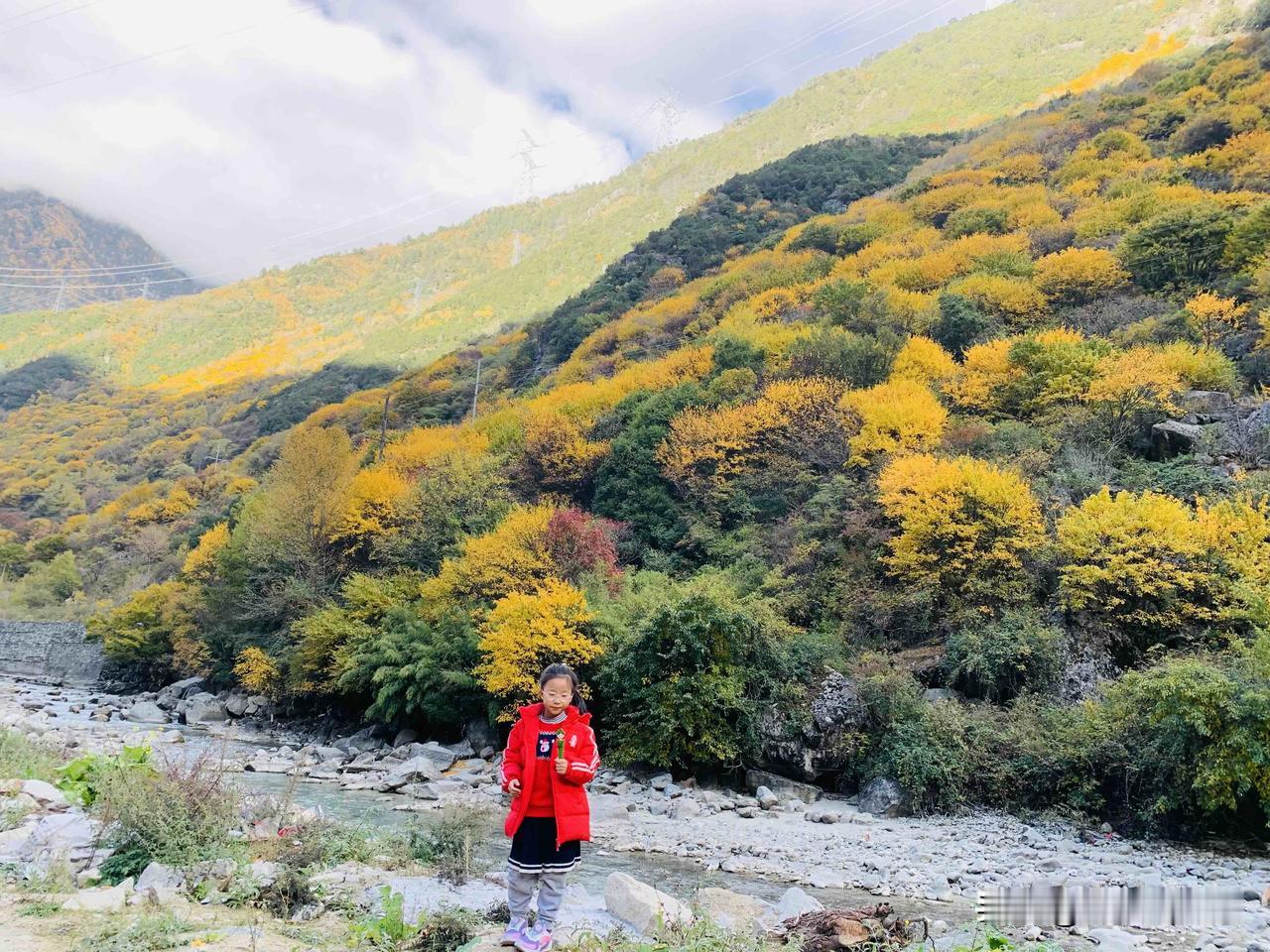 小盆友秋假结束，抓住秋天的尾巴，Day1(11月15日)：青浦(3h)->浦东(