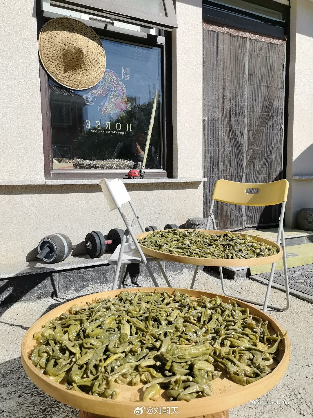 京郊小院，十一独自闹中求静。自制白辣椒与芋荷子，童年的味道扑鼻而来。如果不是来自