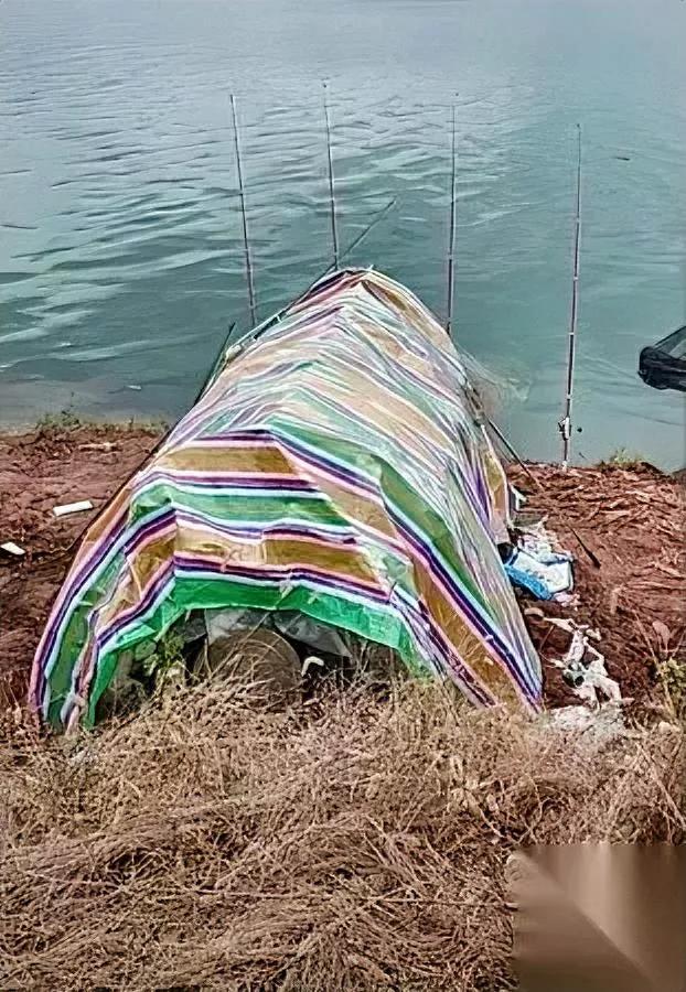 湘江边的棚子，藏着猫腻。

一群人轮班钓，鱼刚出水就塞给等在旁边的鱼贩子。

这