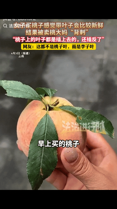 云南一女子早晨出去遛弯，看见大妈在卖桃子，走过去看了看，每个桃子上都带着叶子，觉