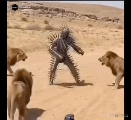 穿着铠甲在非洲追犀牛，现在不会中暑了。
以前那种铁罐头，防得住象牙，但半小时就能