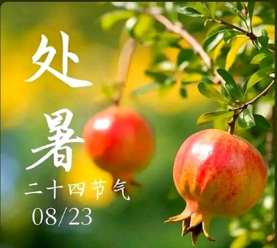 今天，我们正式迎来处暑——二十四节气中第14个节气、秋季第二个节气，太阳黄经达1
