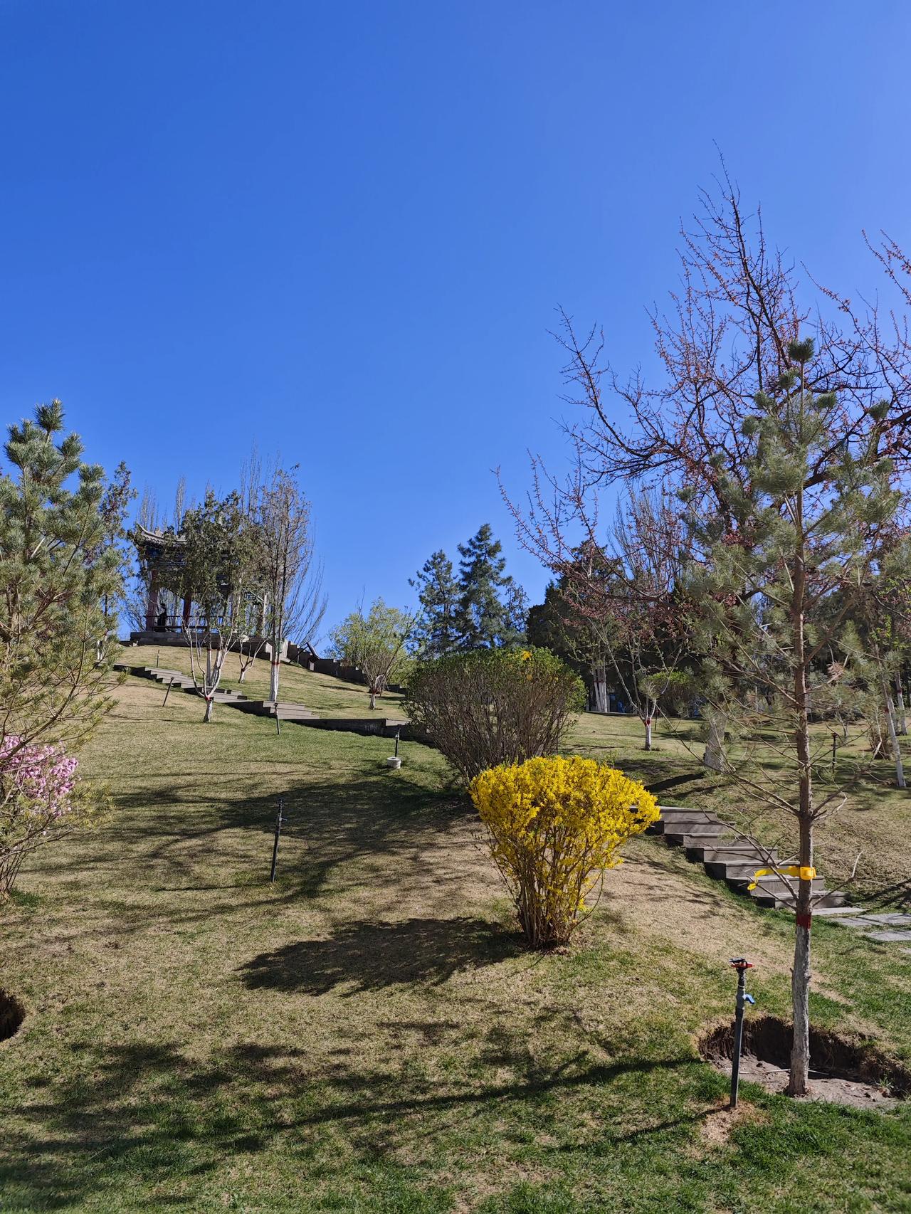 洒满阳光的公园，天空蔚蓝，绿草如茵，树木葱茏，宁静而美好。