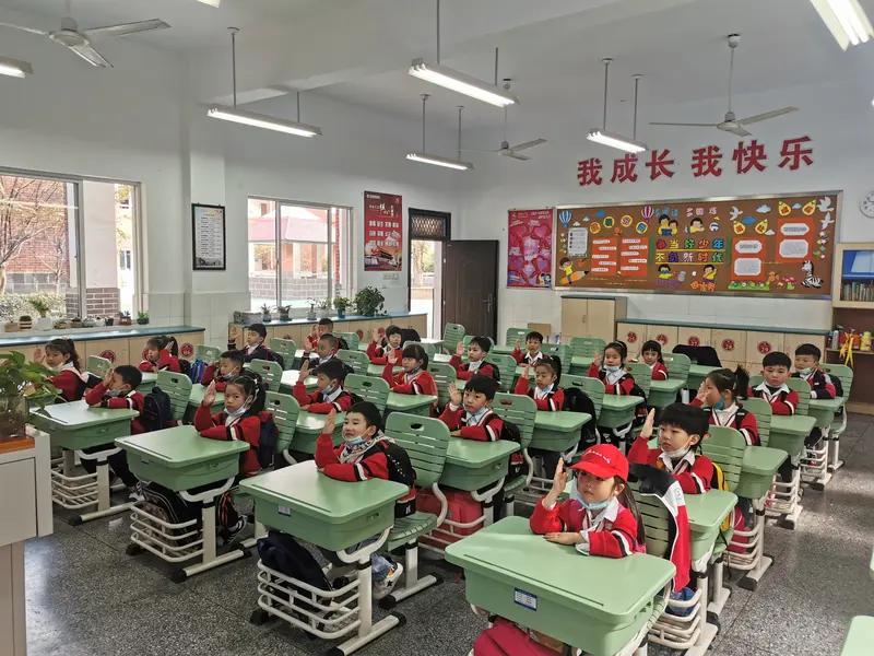 “教书厉害就教书，不会教书就当管理做行政，可以让年轻老师做好规划”一个教育局长这