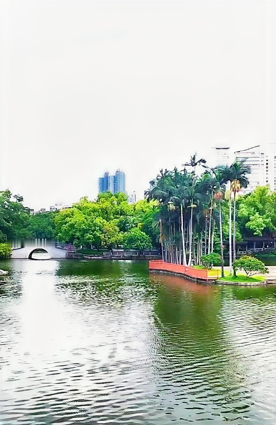 广州市荔湾湖公园风景如画，看到立秋之后的公园美景，拿起手机随手拍几张照片，与大家