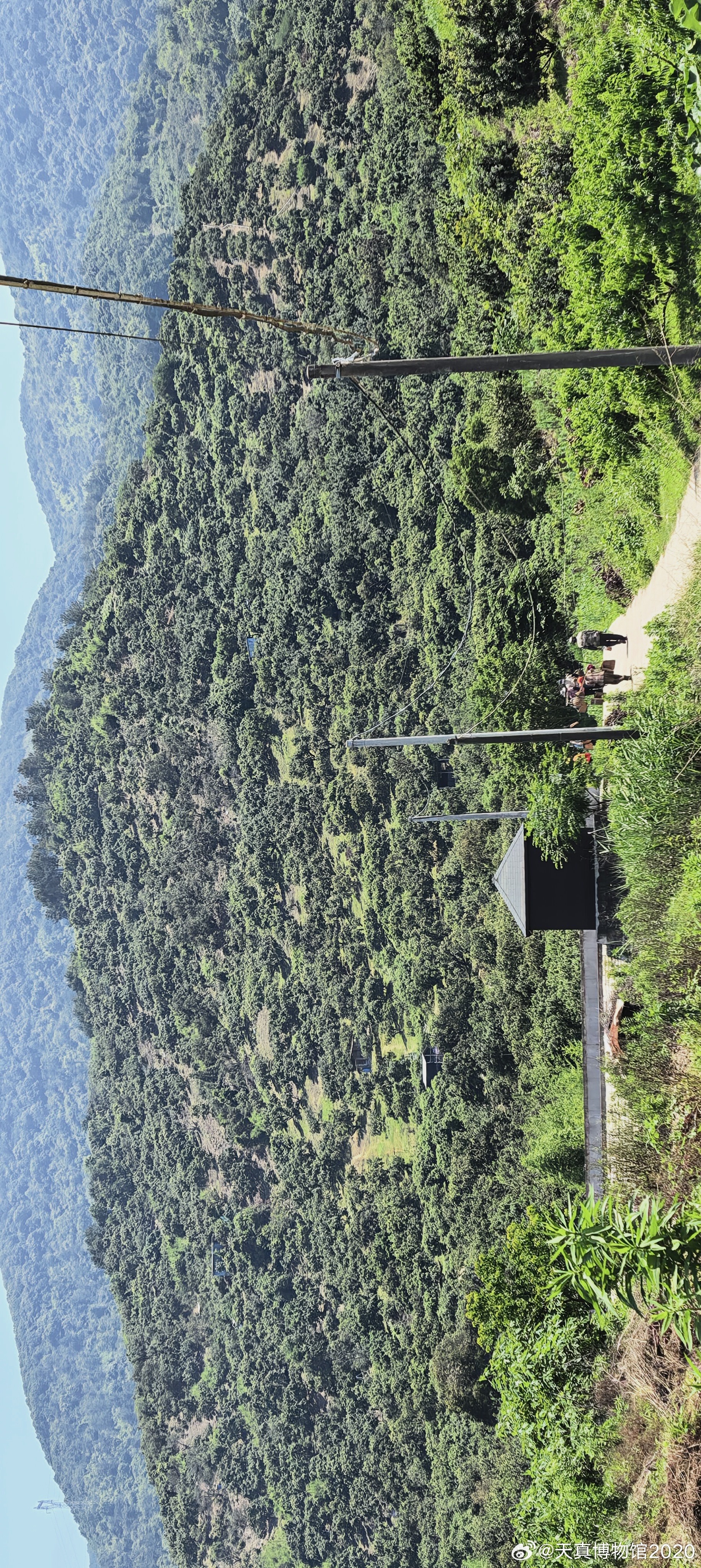 出门俱是采梅人。 慈溪·栲栳山
