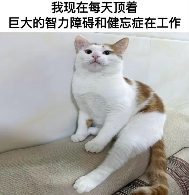 分享图片 
