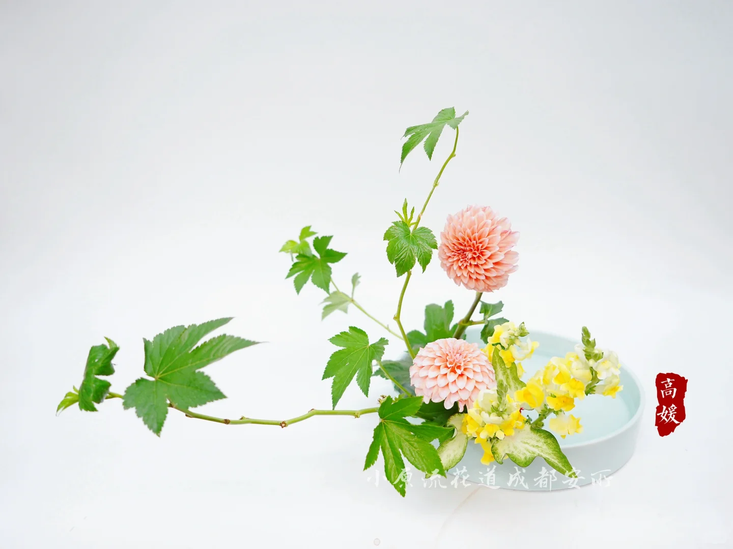 花开了，风也温柔，你还不来吗？