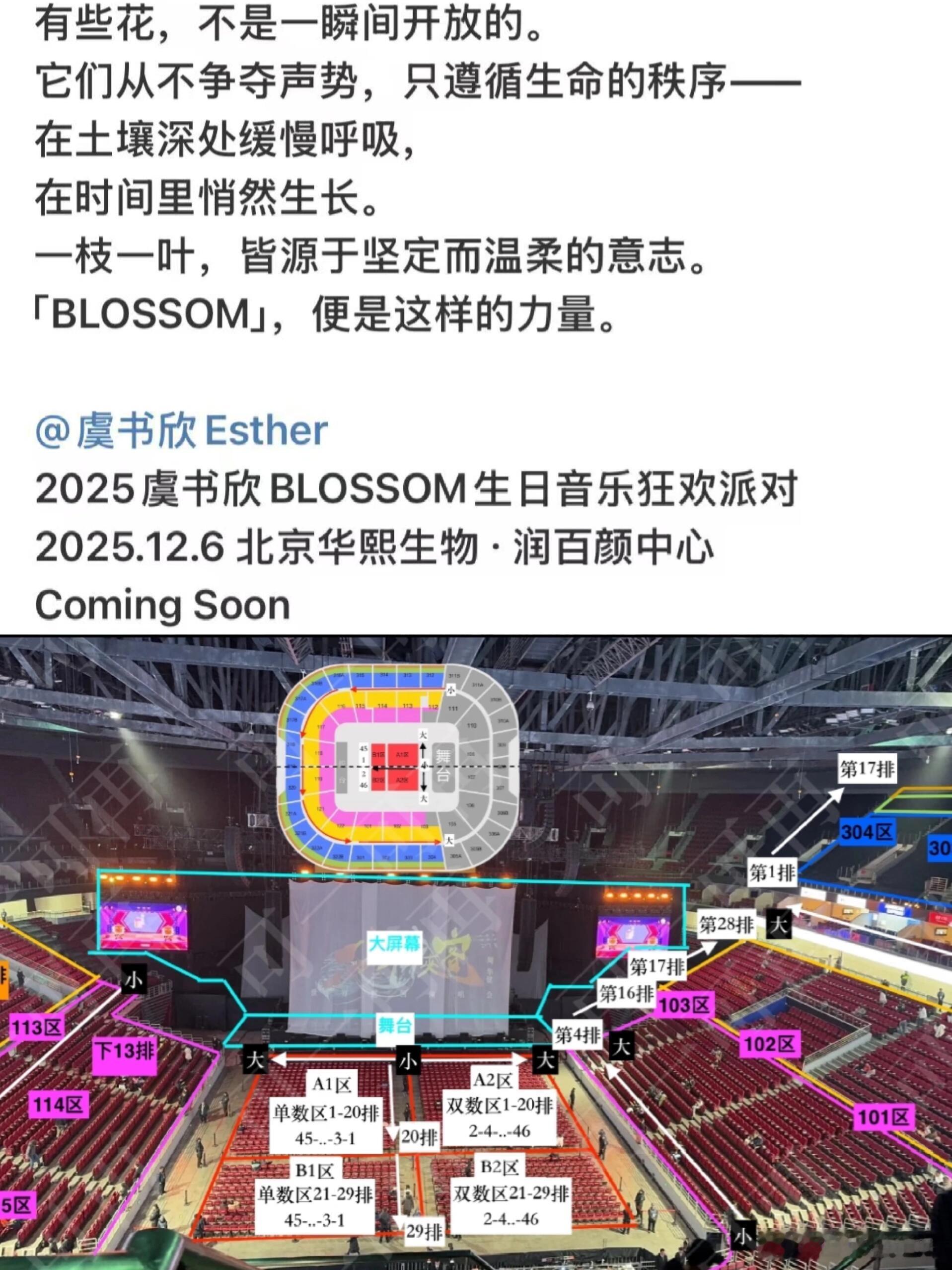 演唱会审批流程需要很久，更何况是在北京这种一线城市。因为粉丝一直都说想看虞书欣个