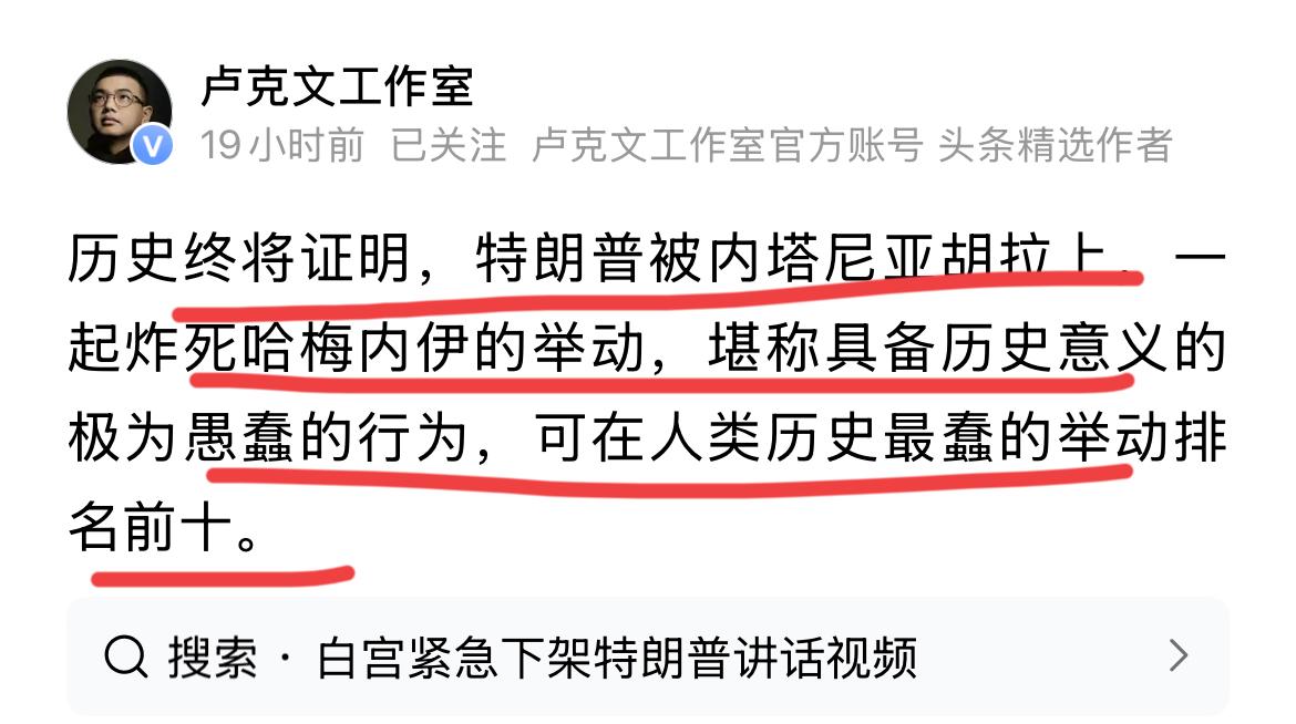 卢克文：炸死内衣是史上最愚蠢的行为！
作为著名国际问题专家，卢克文都看不下去了，