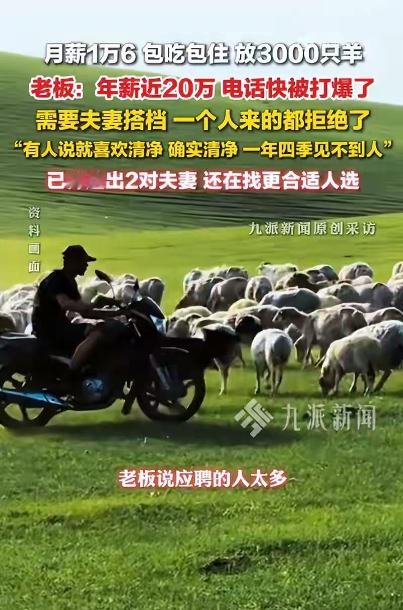 现在的人越来越聪明了[呲牙]！内蒙古，一牧场老板月薪16000元招聘放羊夫妻。管