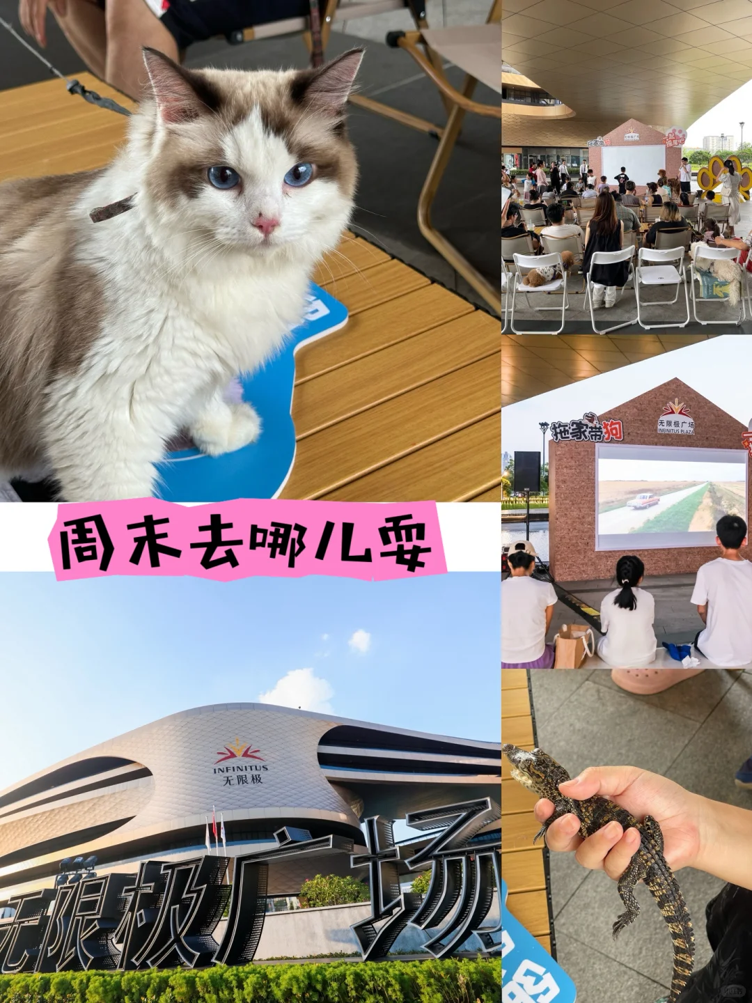 遛宠带娃新地方，这家商场超有爱！