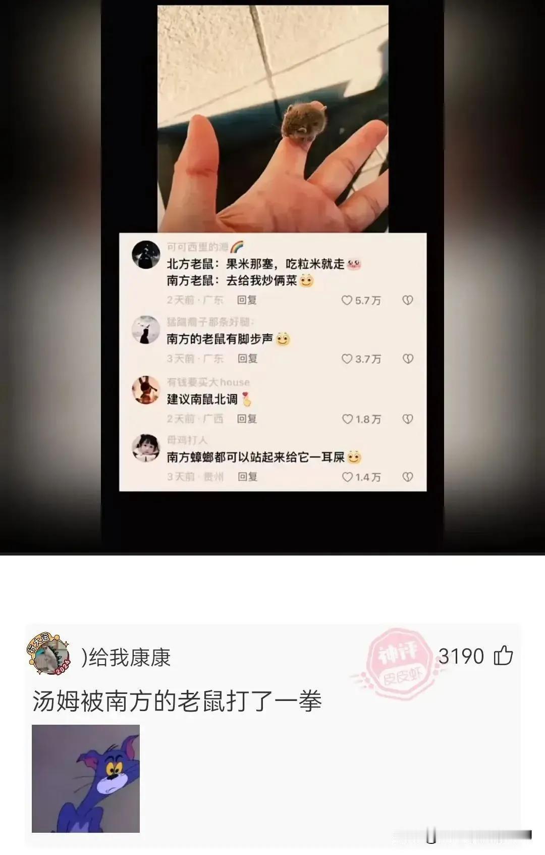 这么小应该吃不多吧[笑哭]