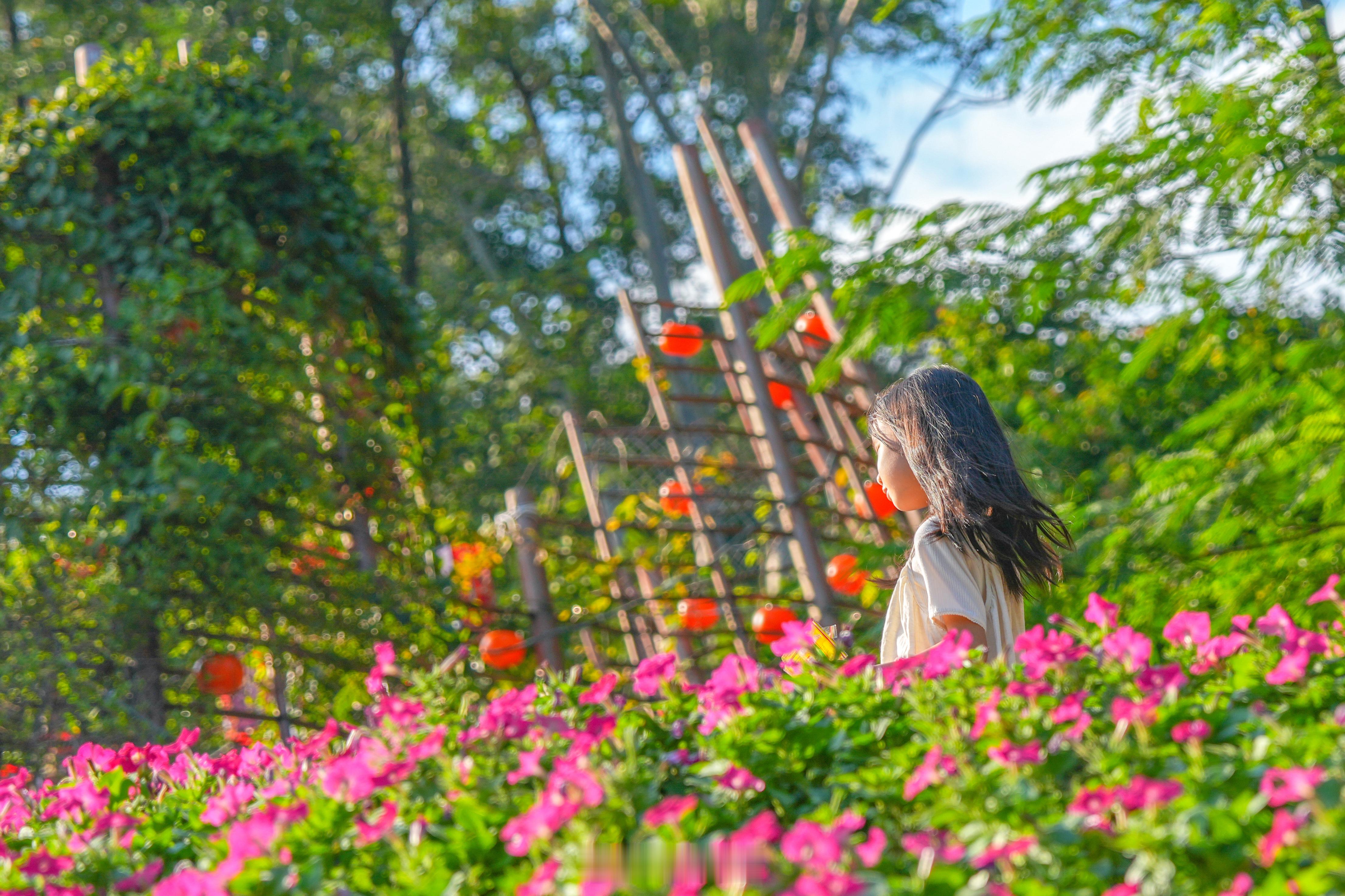 心境平，看花即是花。重阳节后的广州带着 “专属花礼”等着每一个懂得欣赏美好的你我