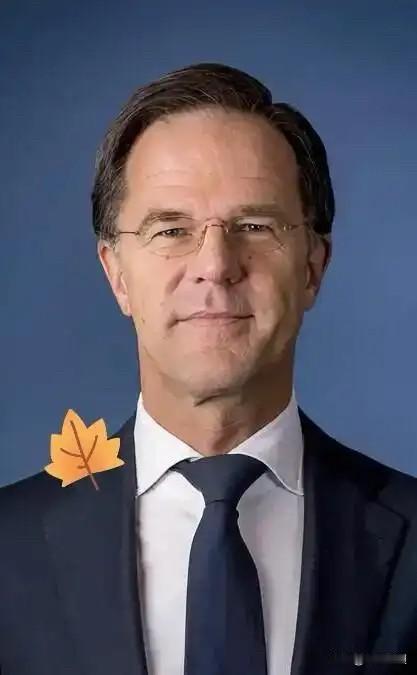 就在刚刚

北约秘书突然宣布

11月12日，北约秘书长吕特在布鲁塞尔北约总部会