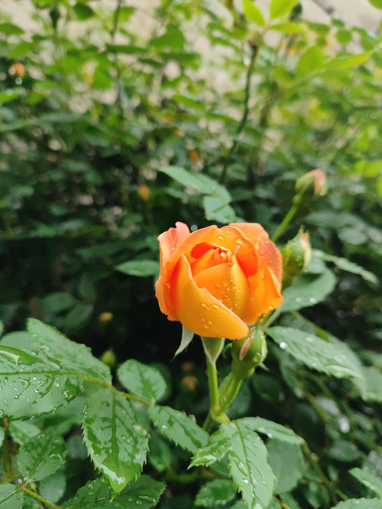 思念成灰是什么感觉思念成灰，就是心里那场烧了很久的火终于灭了，只剩满地冷灰，碰一