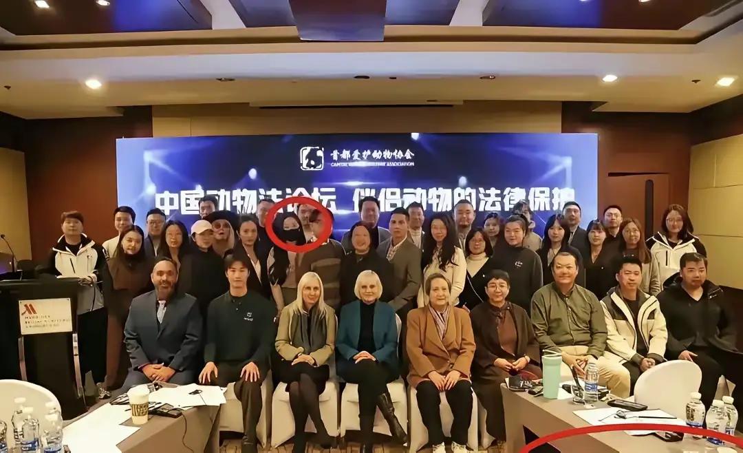 两个“妈妈”，
引起关注，搅动神经!

一个是小狗Papi妈妈李女士，其人其事，