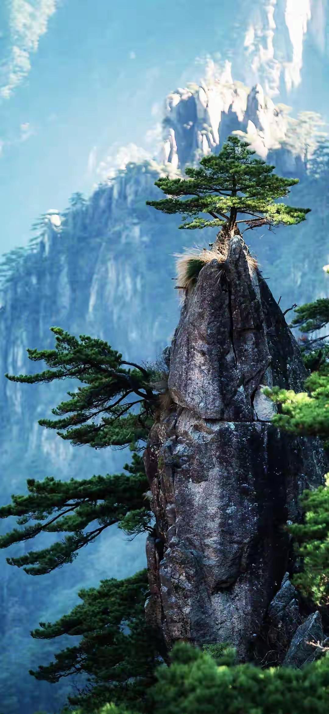 《一棵树》

一棵树
立于峰顶，不可一世
傲视群雄，藐视众生
你是谁呀
你不过是