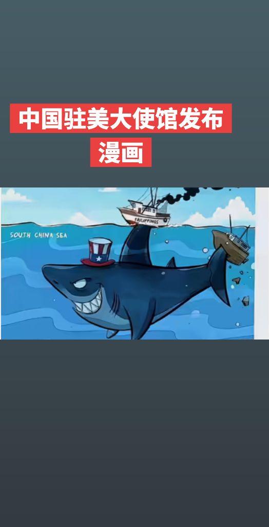 这幅漫画是什么意思？中美 南海