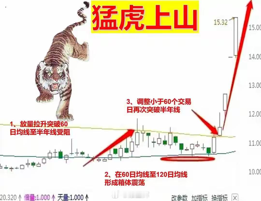 炒股，一旦发现“猛虎上山”的图形，通常预示着即将到来的主升浪行情，因为这通常是主