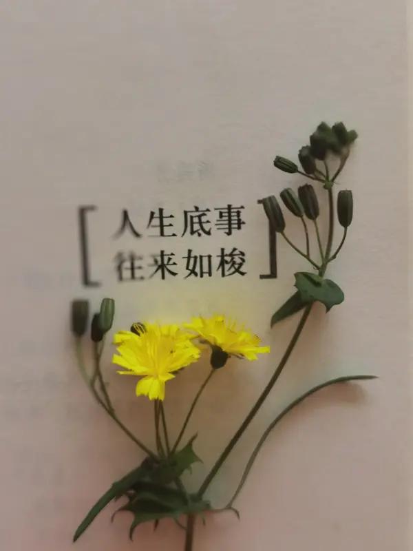 别用今天的尺子量昨天的自己，也别用别人的尺子量自己的人生。以前我总为过去的蠢事懊