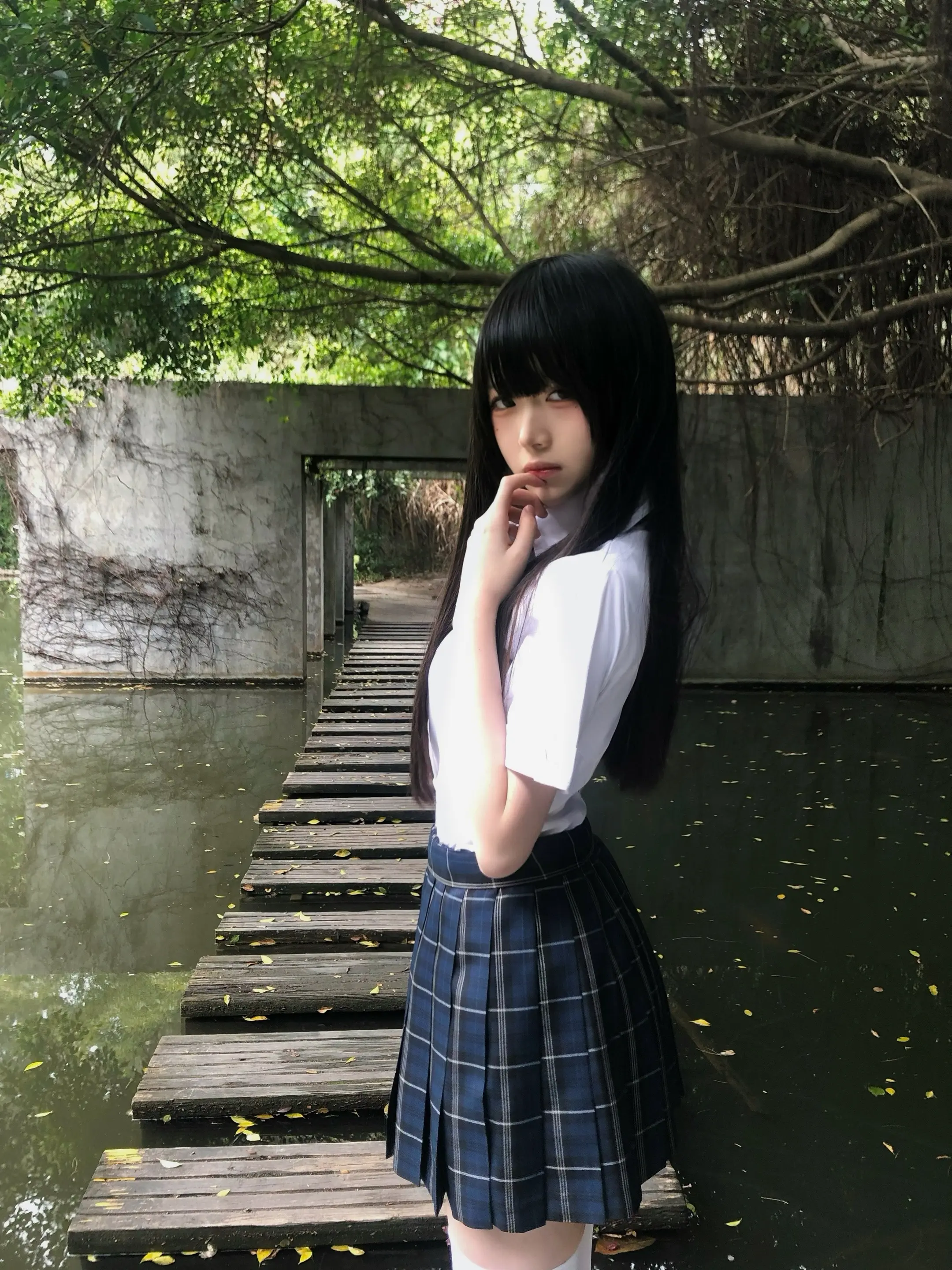 树是另一个世界的入口