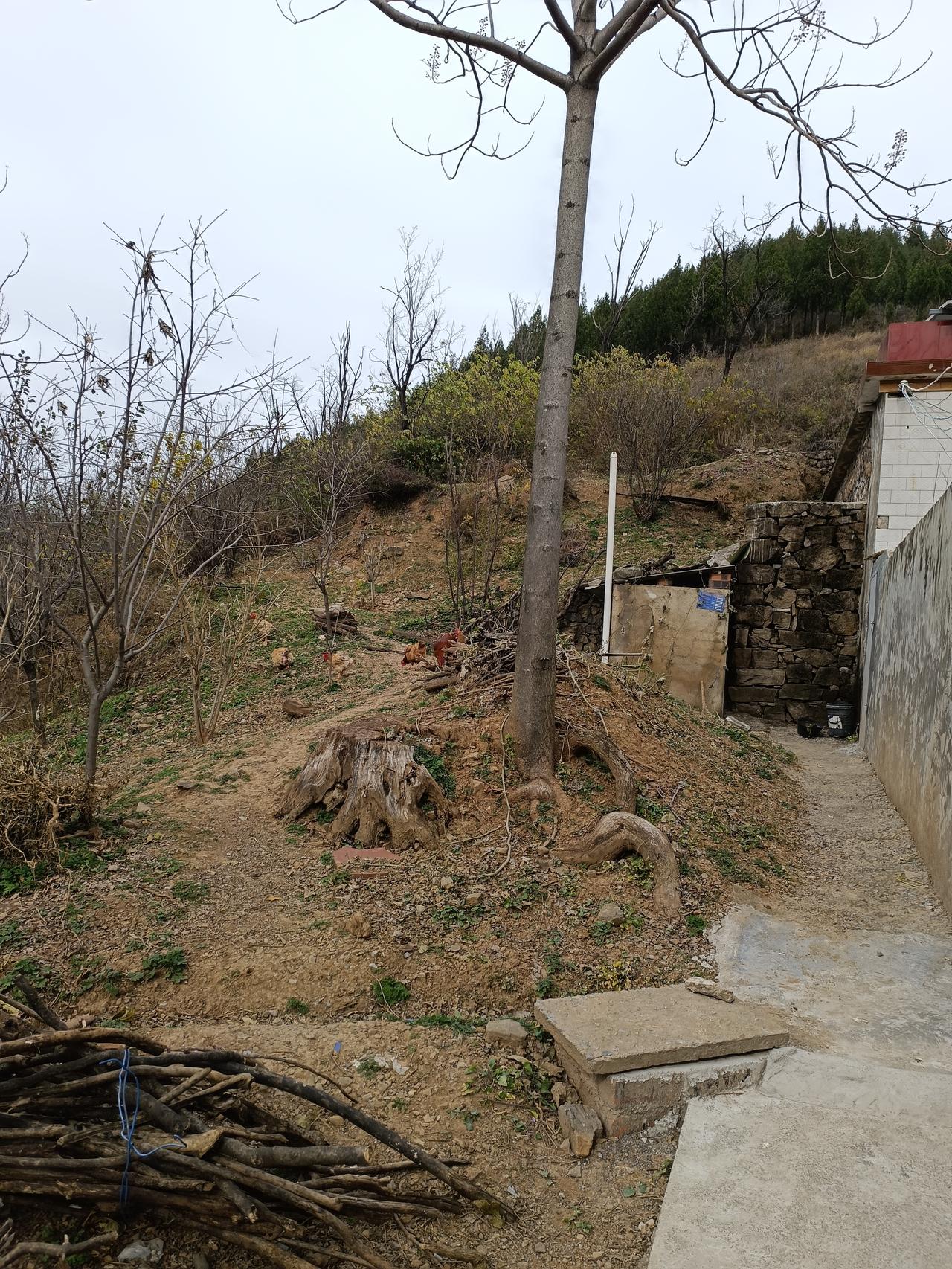 寒衣节那天，去给姥姥姥爷上坟，姥姥姥爷去世三十多年了，在我心里，姥姥姥爷最亲，他