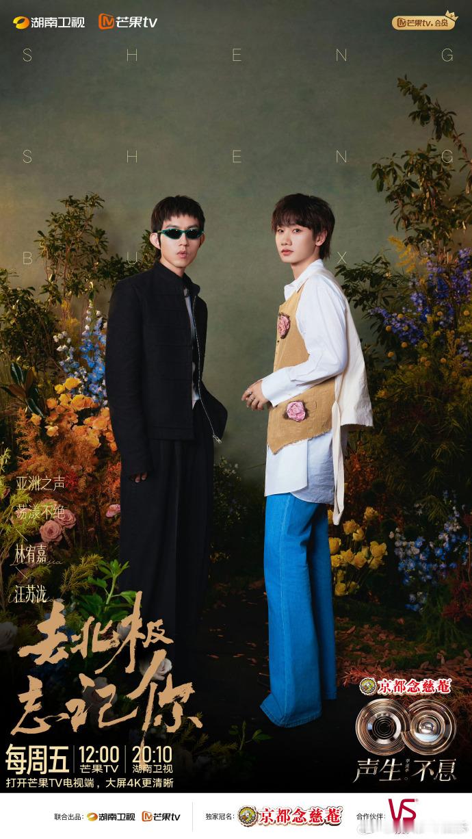 刚刷到海报瞬间被戳中，声生不息亚洲嘉年华歌单声生不息亚洲嘉年华开播海报 简约又有