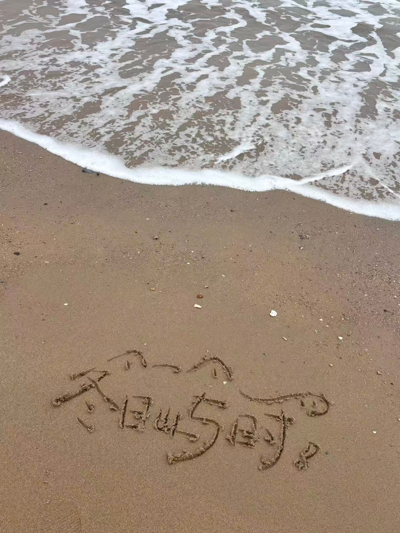 晚上好宝宝们刷到动动 