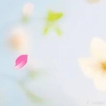 每日一善每日‎一善 在那春暖花开的时节，让我们一起踏上这段美妙的旅程。迎着和煦的