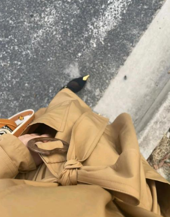 新买的防狼高跟鞋，安全感满满！！！ ​​​
