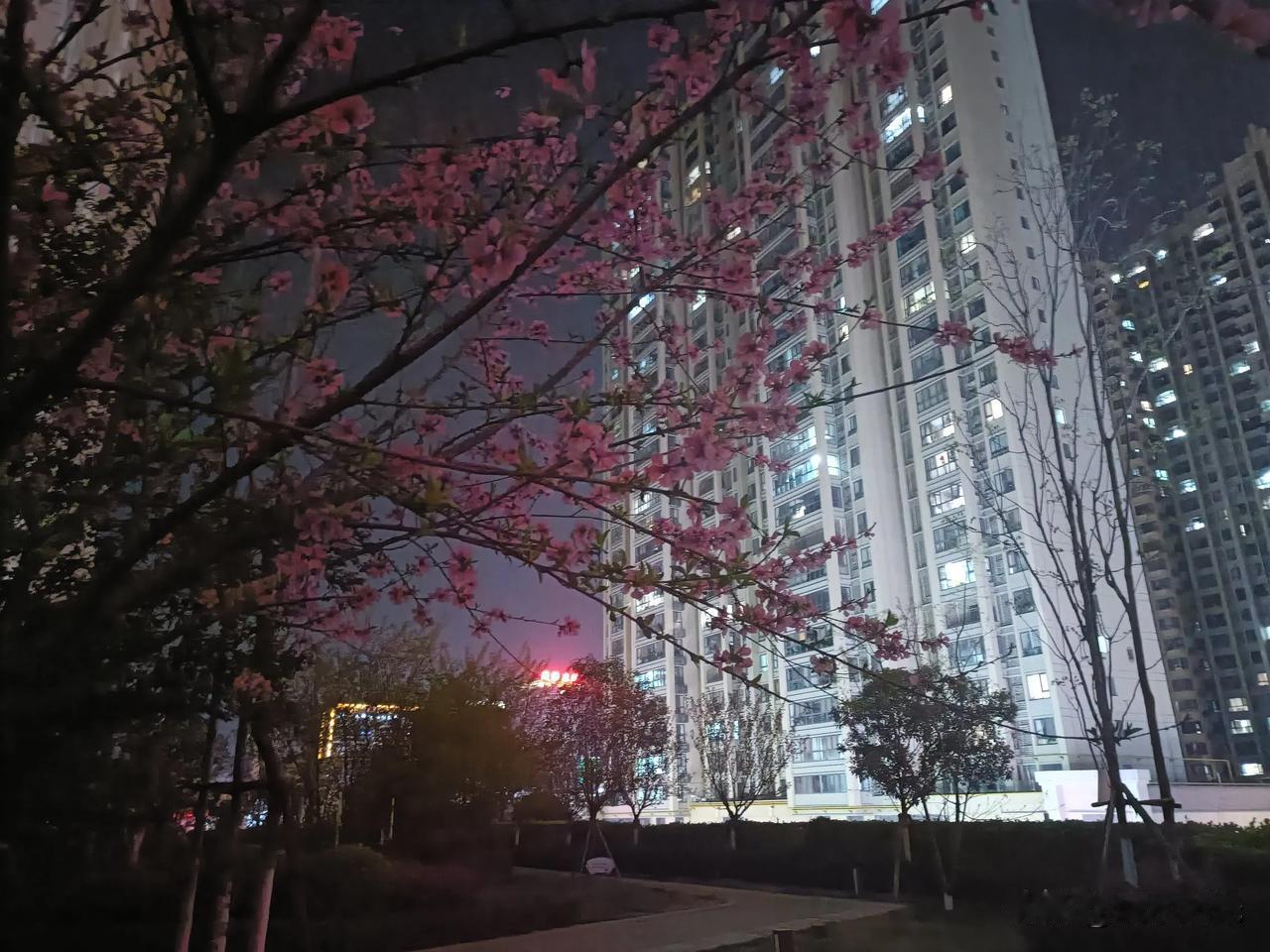 大自然美景，随手一拍