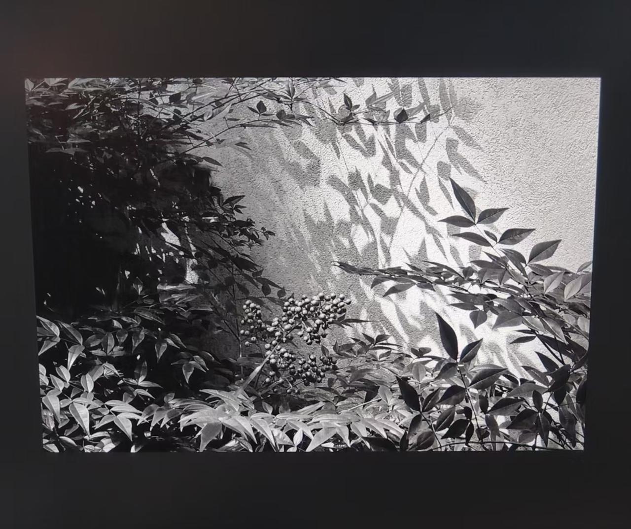 目击道存/心照神交，夏天的诗。

在生活中，最朴素的角落，看到美，看到诗意，好像