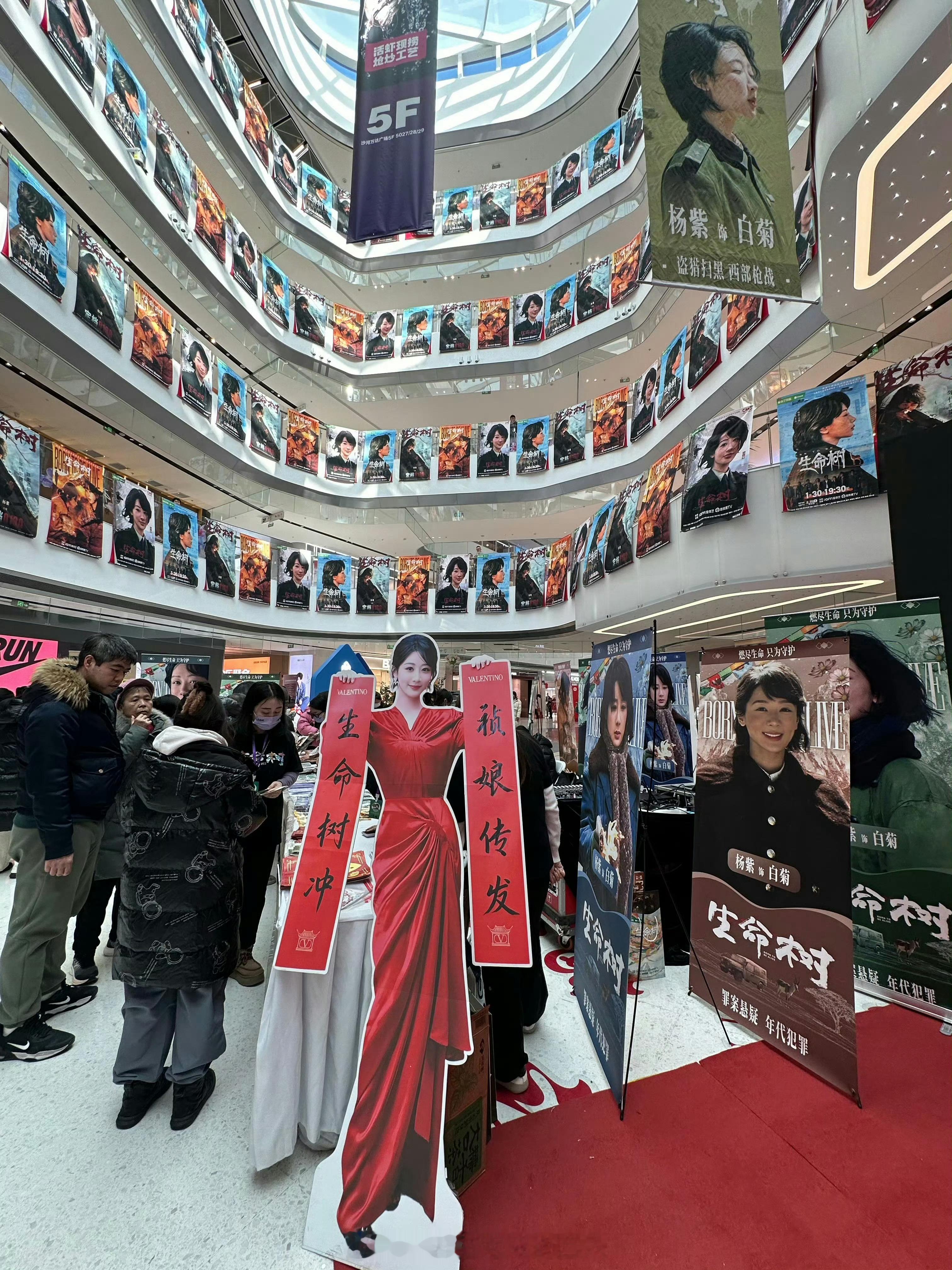 紫米生命树痛楼剧宣杨紫粉丝也太给力了好壮观 