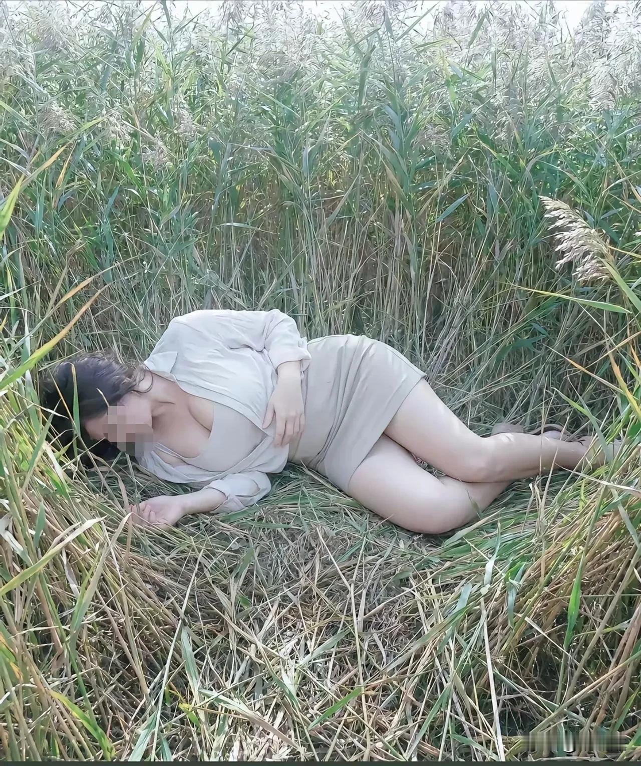 狗尾续貂说的就是这种草，俗称狗尾巴草