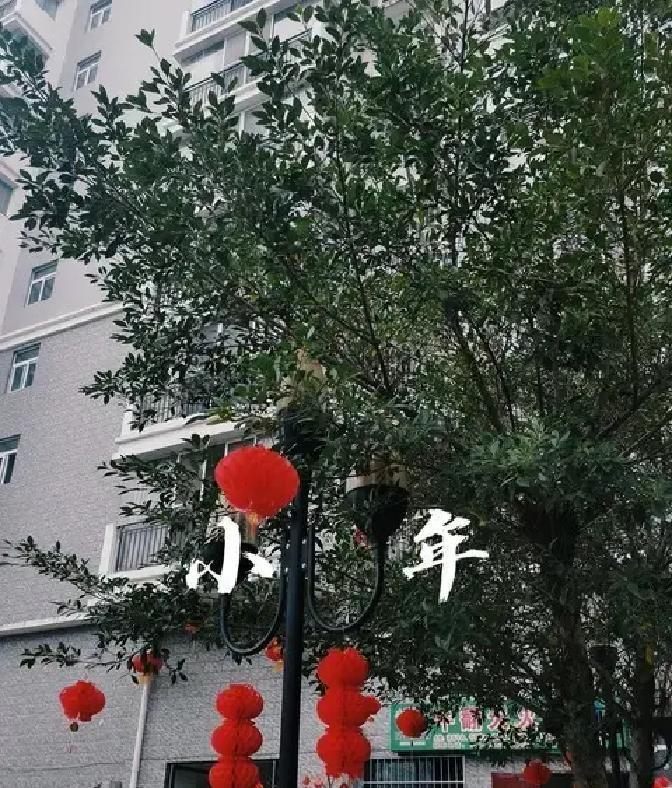 腊月二十三这天，北方小年正式拉开序幕，家家户户忙着祭灶送灶王爷上天，祈求来年日子