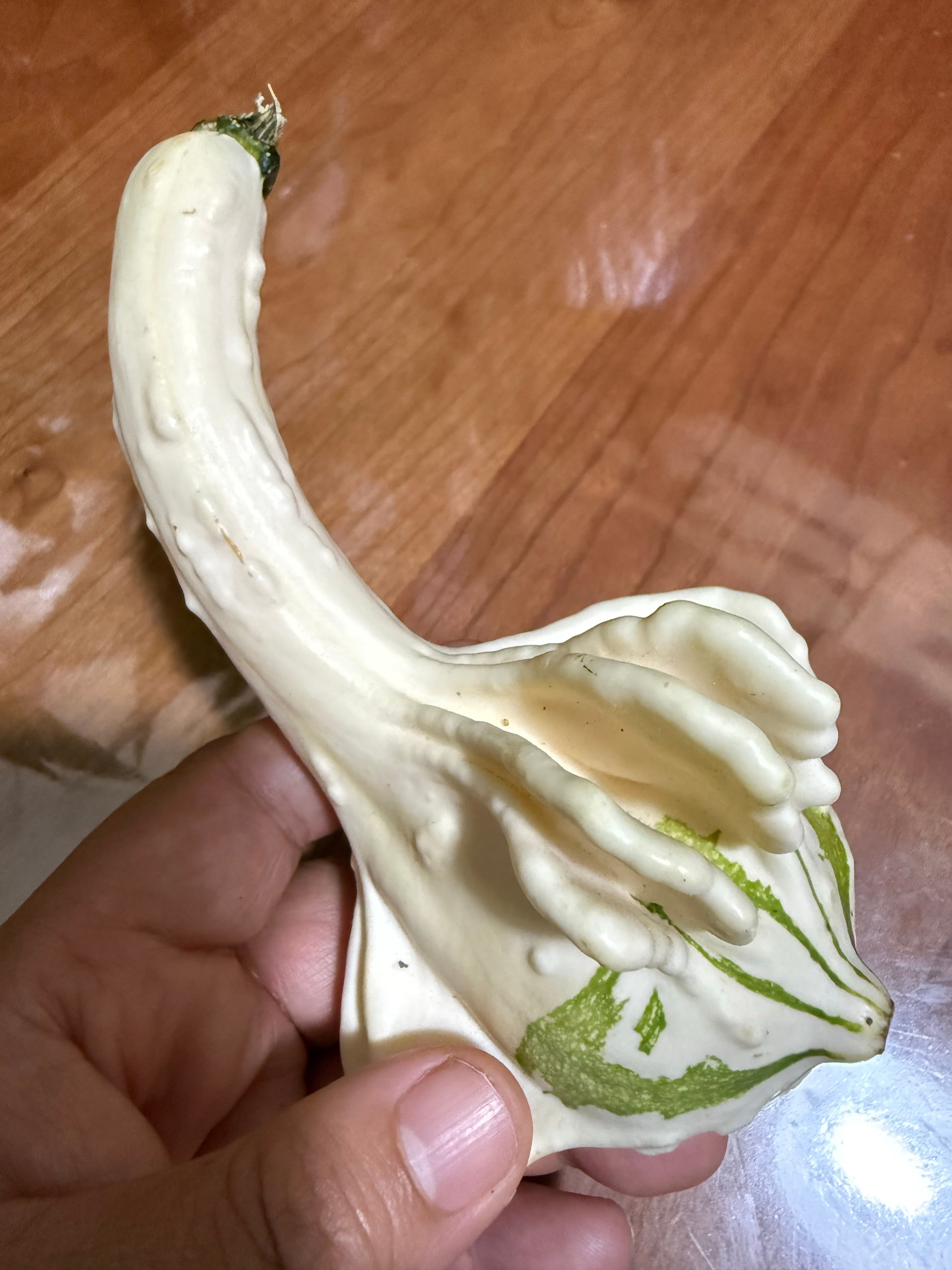 🌊岐黄谷做什么 🌊我不是教你污 🌊        上次去石家庄的同学家玩，
