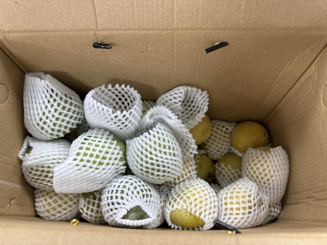 分享城市新鲜事这时候里子好吃