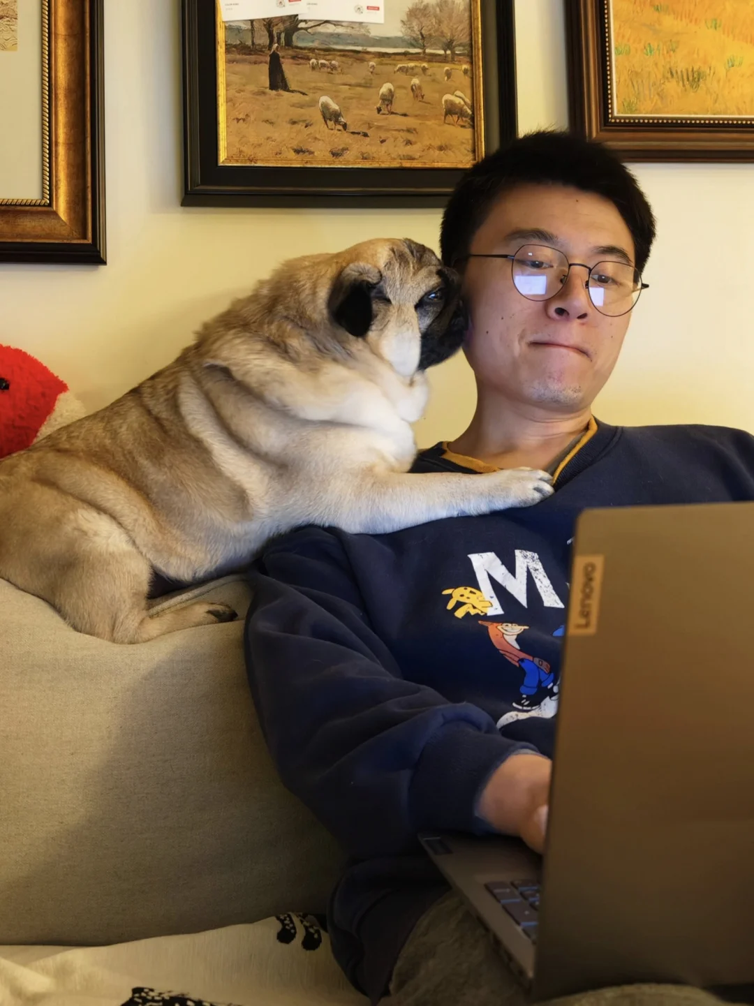 被一只巴哥爱着的日常