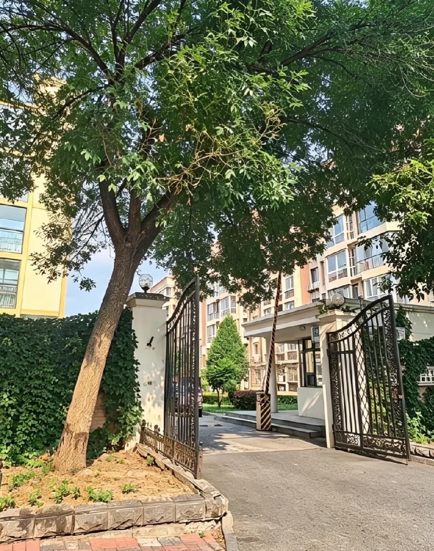 河南一对夫妻，
卖掉老家的老房子，
拿到76万元，
直奔天津河西区更好的升学资源