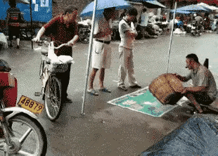 这个是什么原理，倒出去了怎么还会跑回来？难道呆在笼子里很舒适吗？难道不知道拥有自