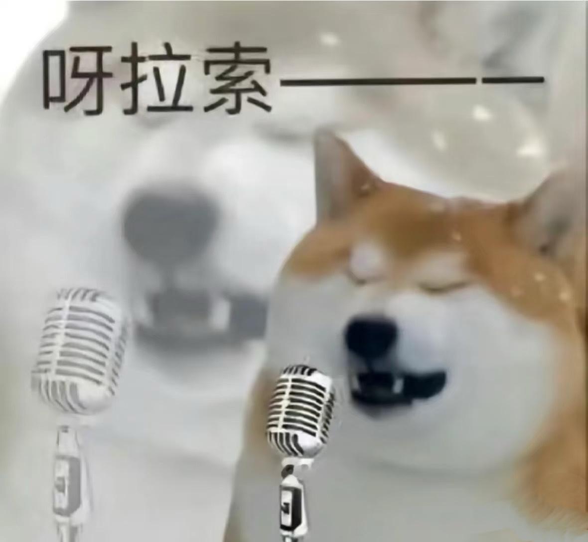 毁掉一首歌的最好办法就是让我来唱 ​​​