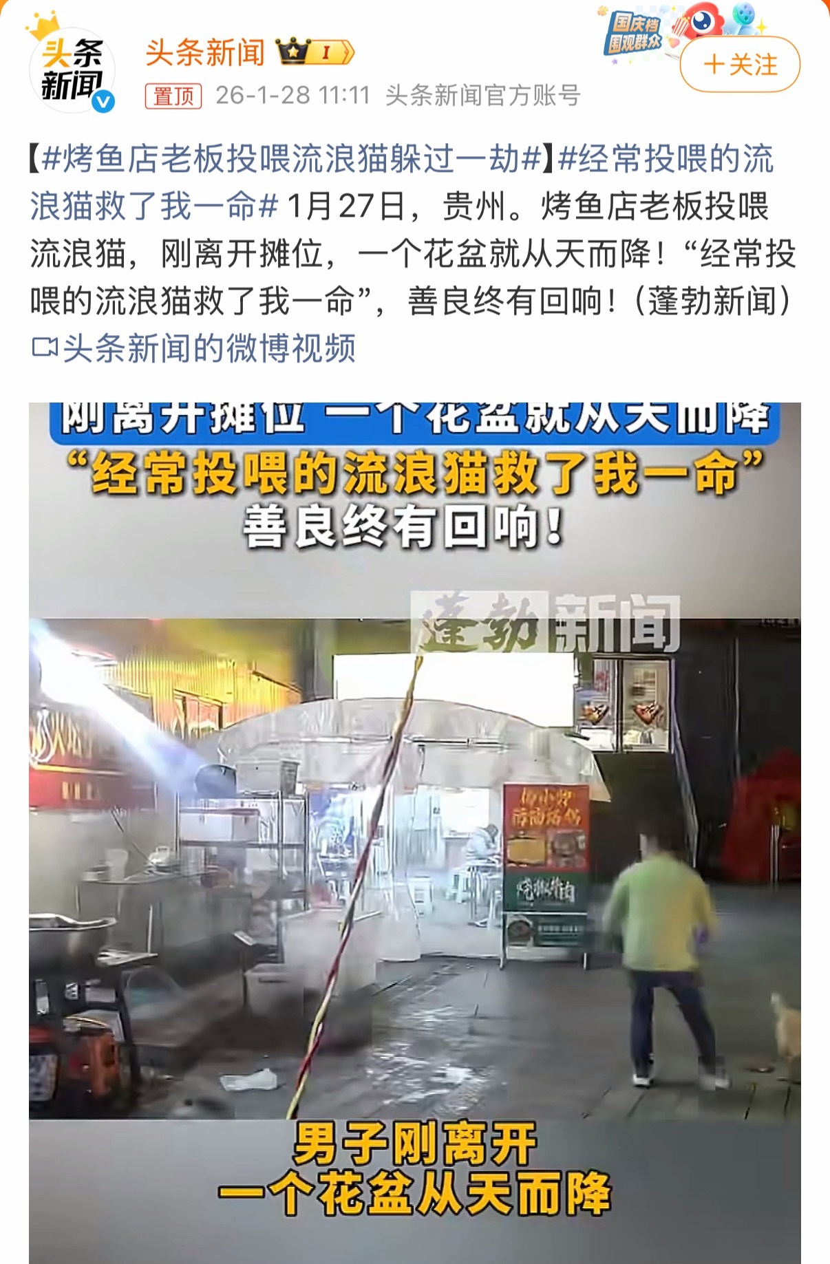 善良的人冥冥之中真的会有猫咪之神守护！烤鱼店老板投喂流浪猫躲过一劫