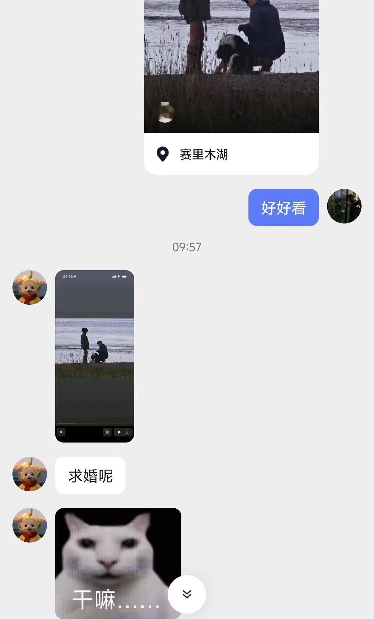 拉拉绞尽脑汁  不如侄女灵机一动。没有磕  那张图片很有感觉，勿上艺人
