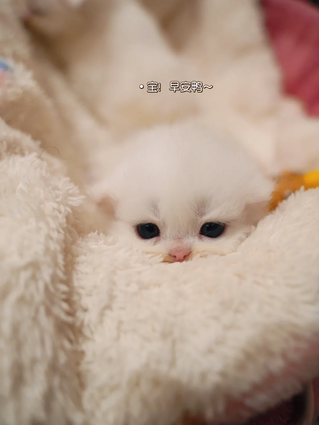 再不起来喂🍼～不理你了😤