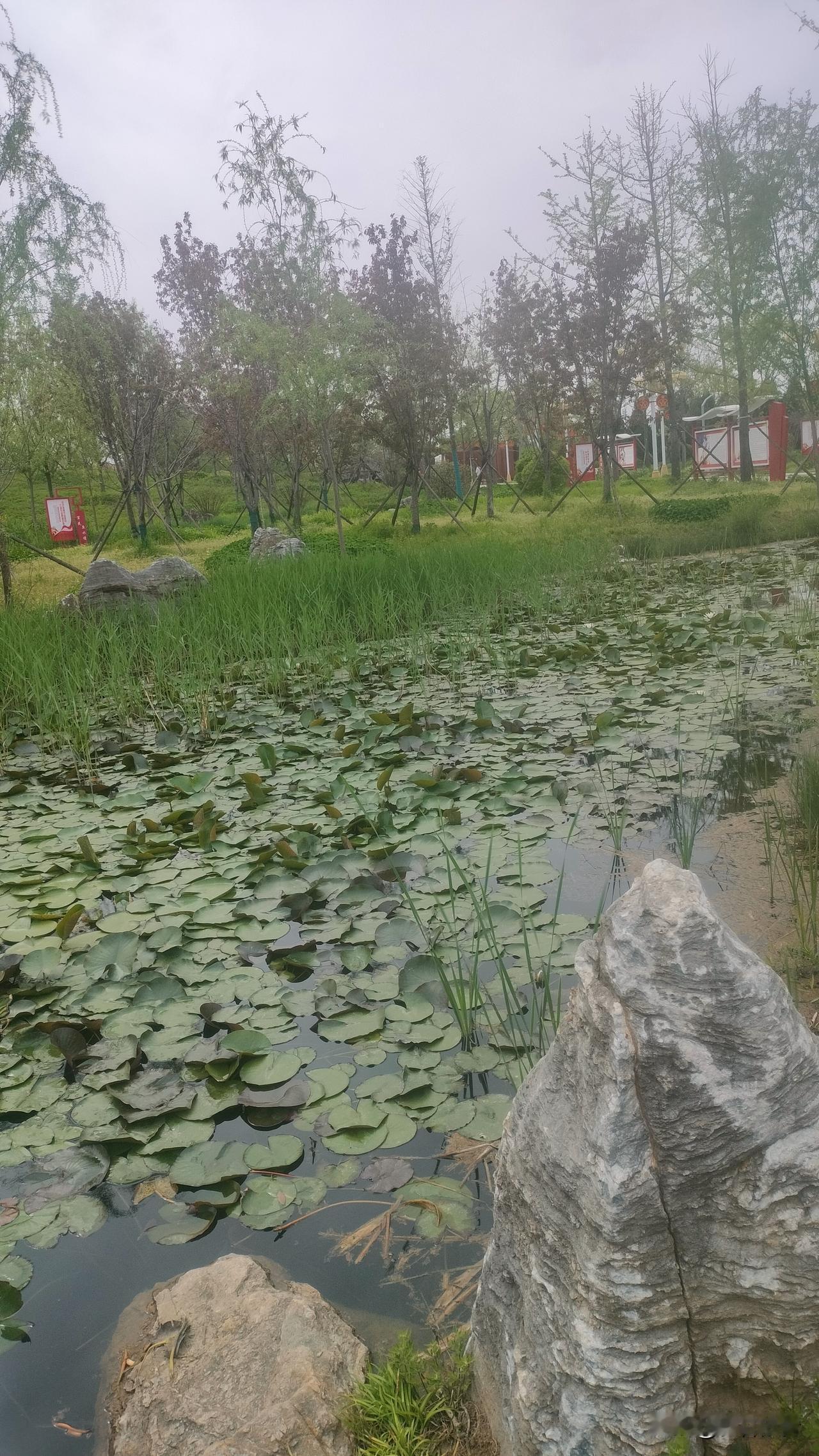 我发现，当我真的能做到心如止水后，没人再说我脾气差、情绪失控，也没人再笑我懦弱、