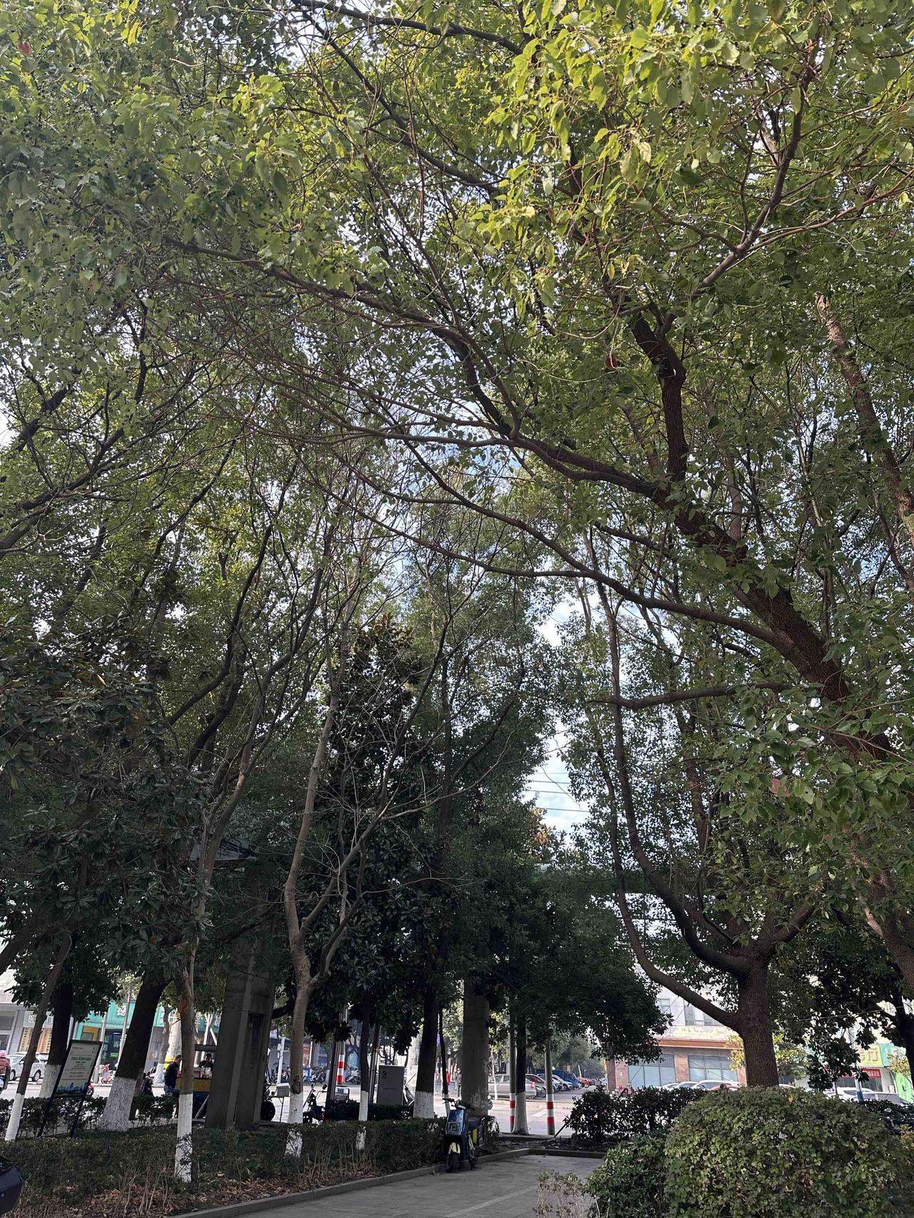 看到“春播千亩稻”这个上联，一下子把我拉到了乡村田园的画面里，春天里农民伯伯在田