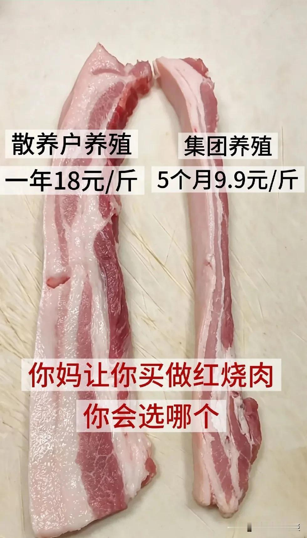 如果让你割肉，这两种肉，你会选择哪一个？一个是散养户养的猪，杀的肉，18块钱一斤