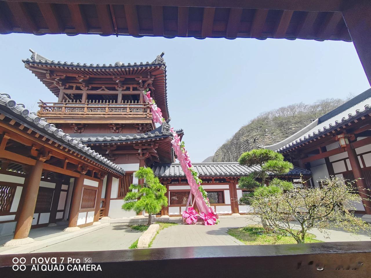 免费重访园博园，五味杂陈不如前 ？南京网红打卡地，虬曲黑松景阳楼～一池三山很大气